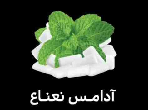 آدامس نعناع