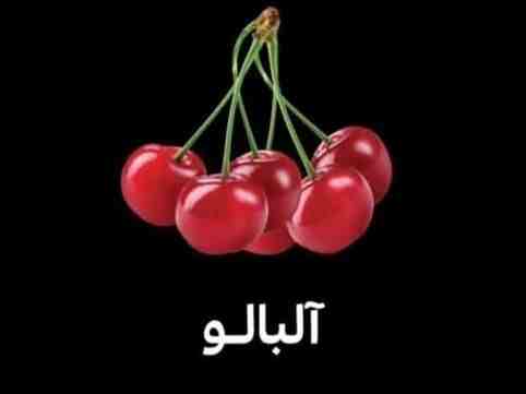 آلبالو