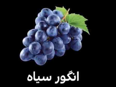 انگور سیاه