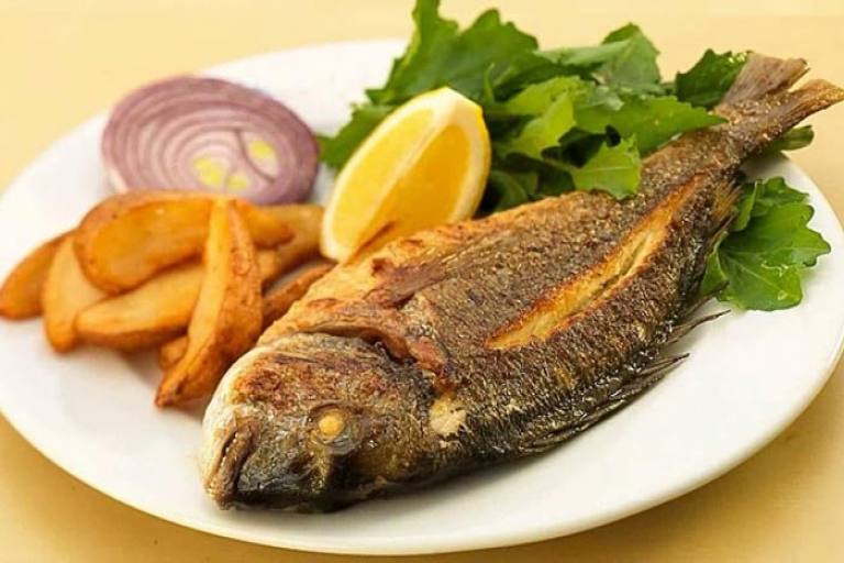 خوراک ماهی قزل آلا