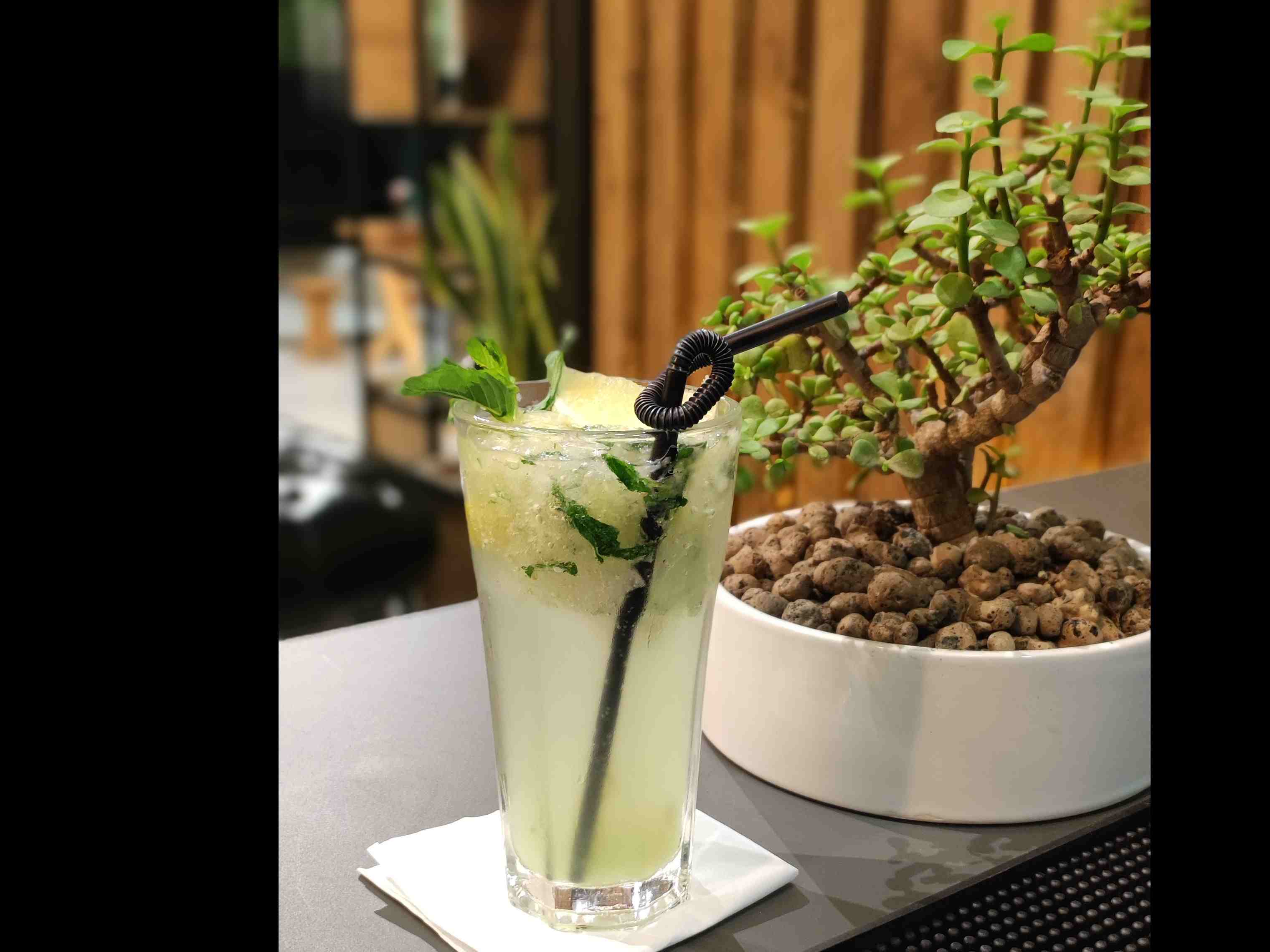موهیتو کلاسیک