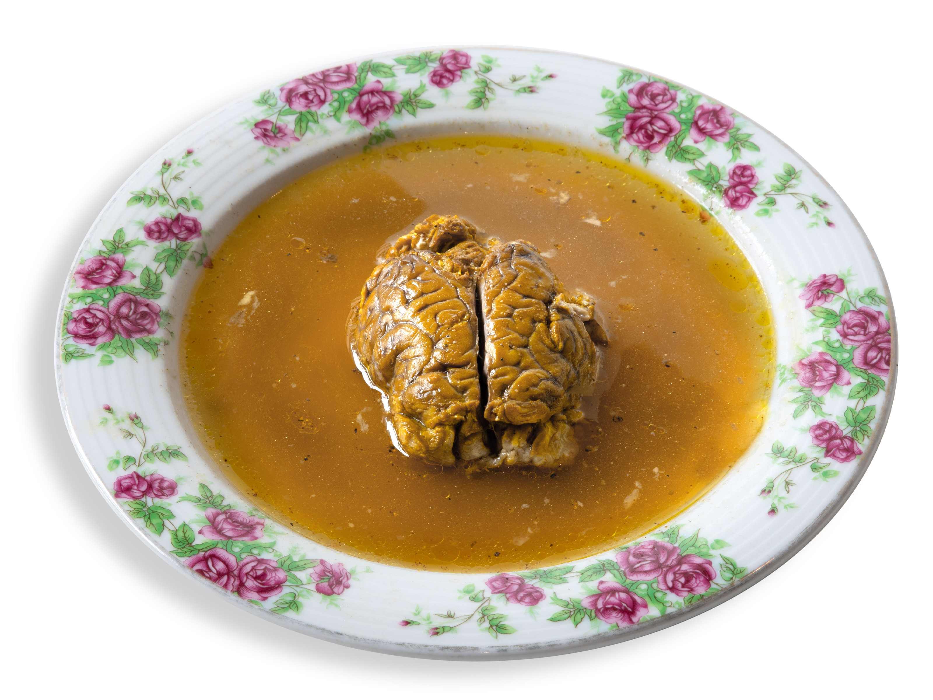 مغز