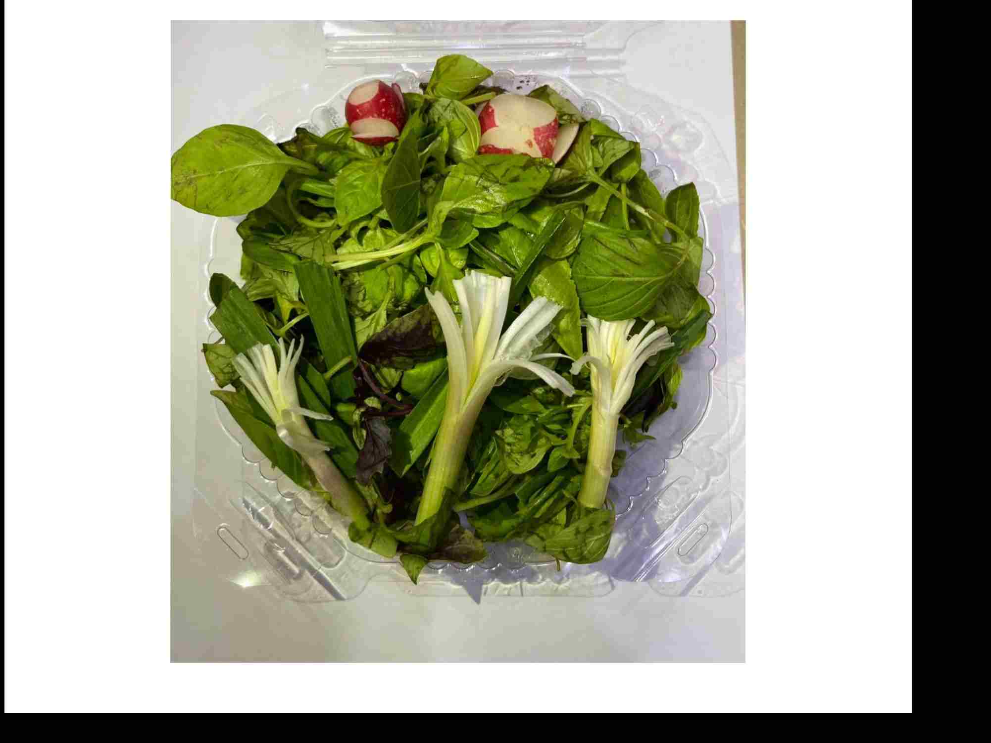 سبزی خوردن