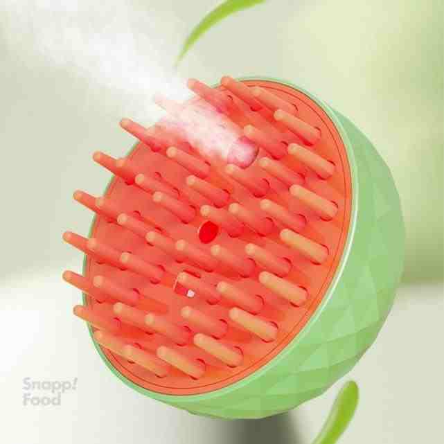 برس اسپری بخار گرد با دکمه تخلیه