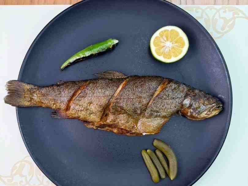 خوراک ماهی قزل آلا سرخ