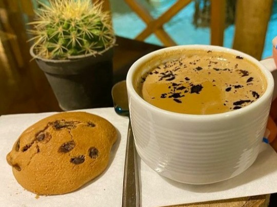 شیر نسکافه