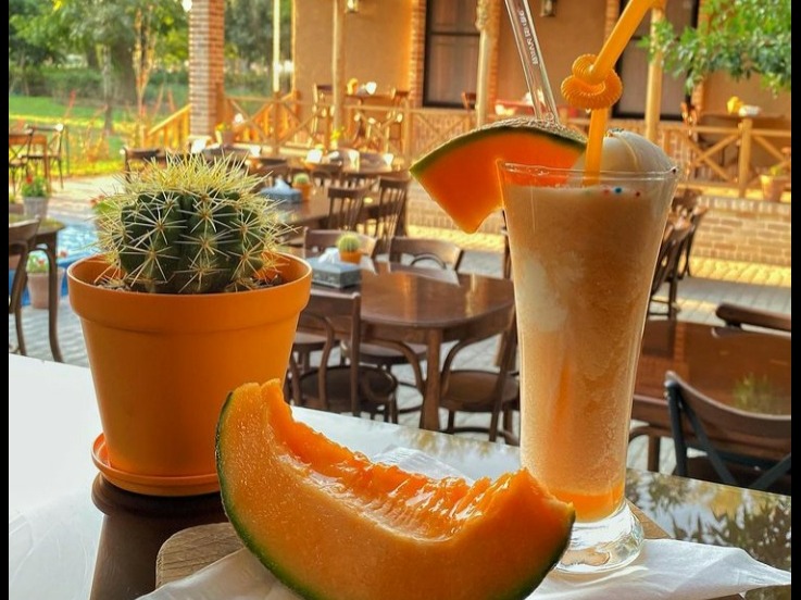 آب طالبی بستنی