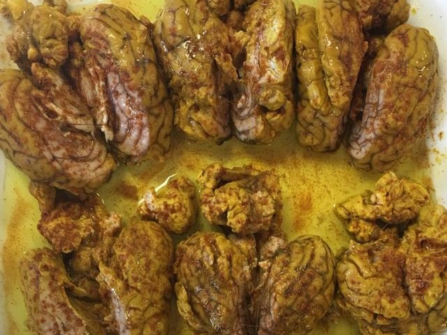 مغز