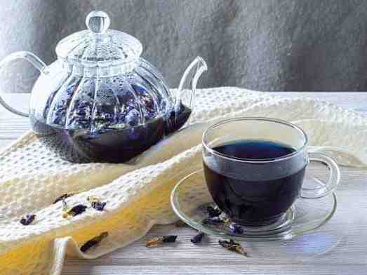 گل گاو زبان