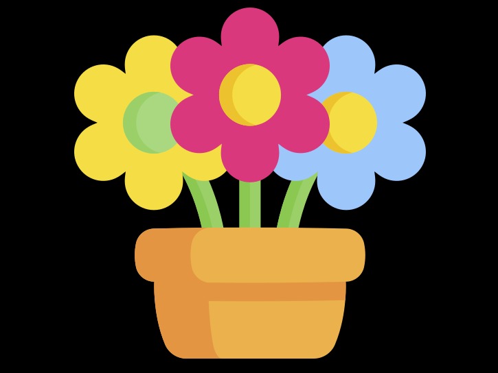 گل آرایی بارانا