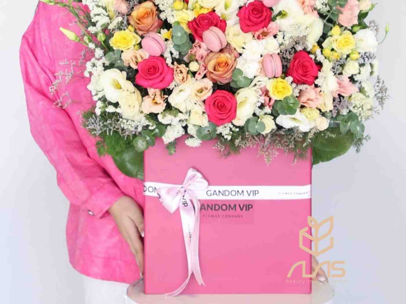 فايبر كتابى کوچک