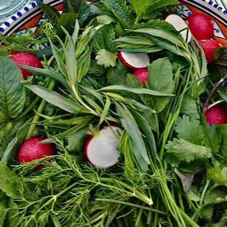 بشقاب سبزی خوردن