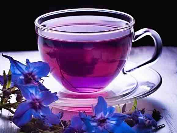 دمنوش گل گاو زبان