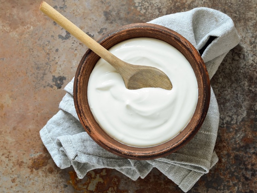 Yogurt Plain