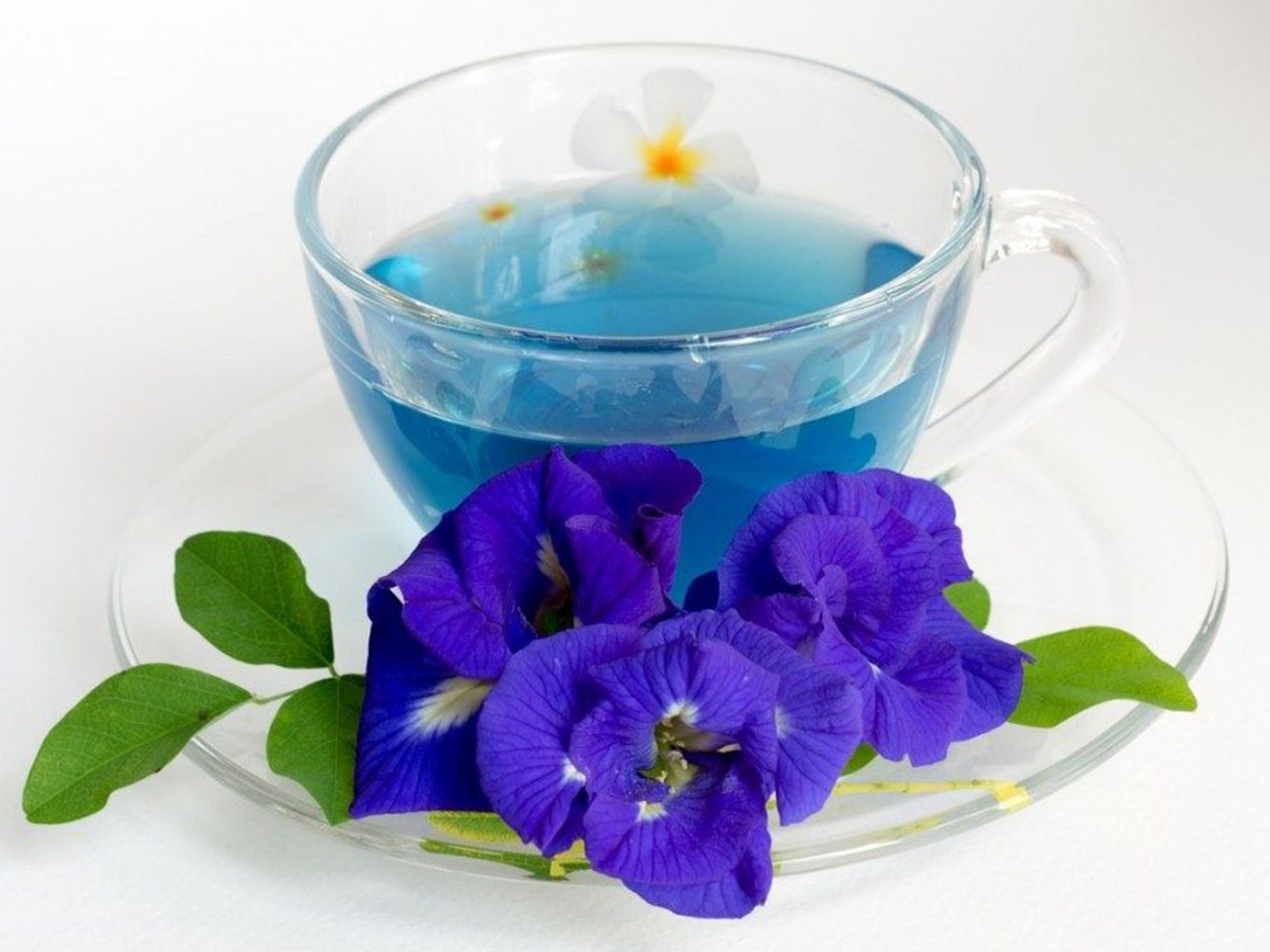 گل گاو زبان