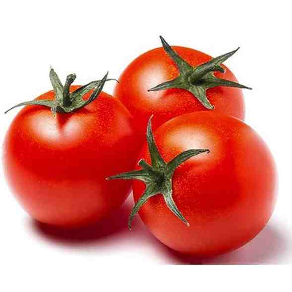 گوجه گلخانه ای