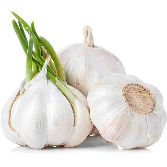سیر خشک