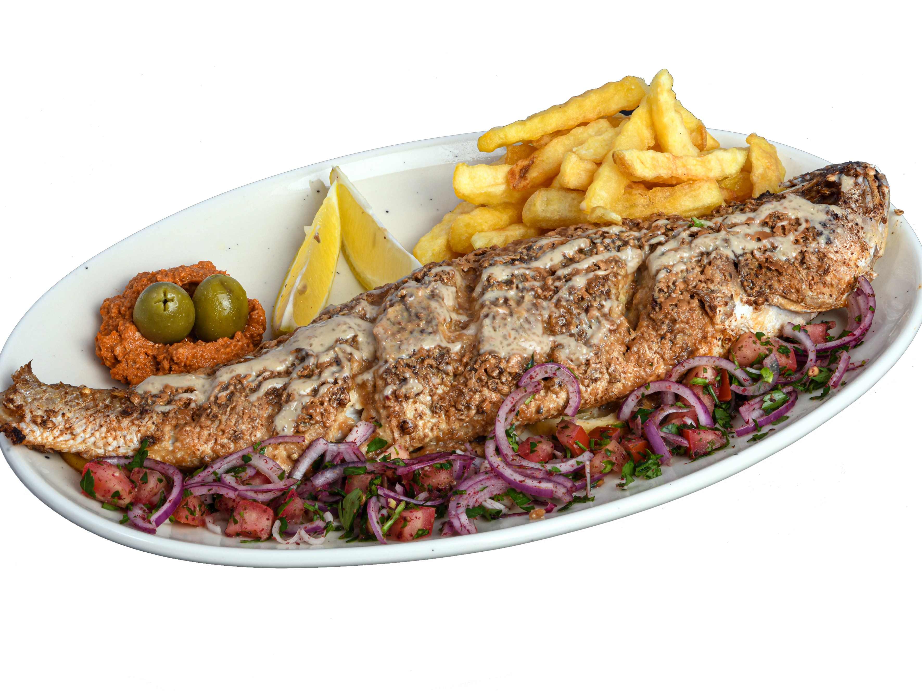 ماهی شوریده تنوری