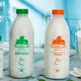 product main