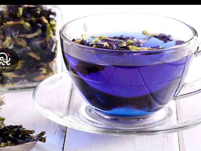 گل گاوزبان