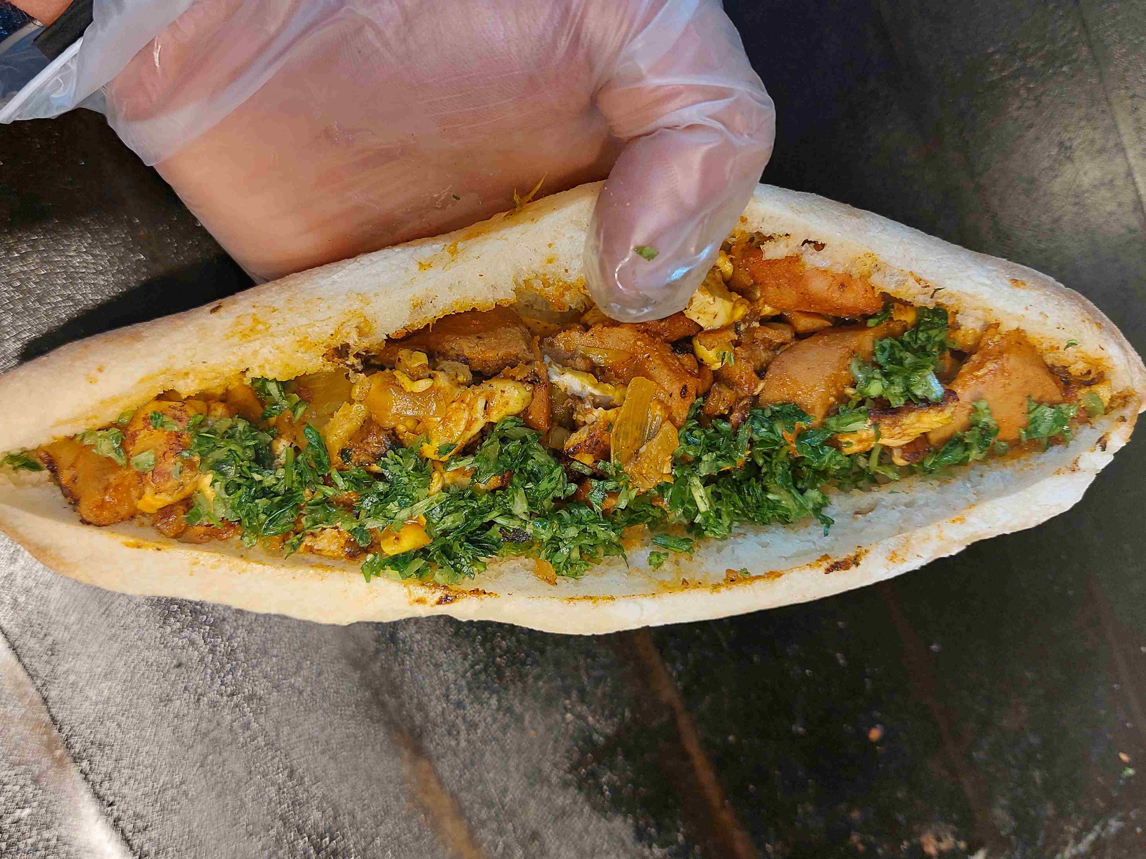 مغز بندری