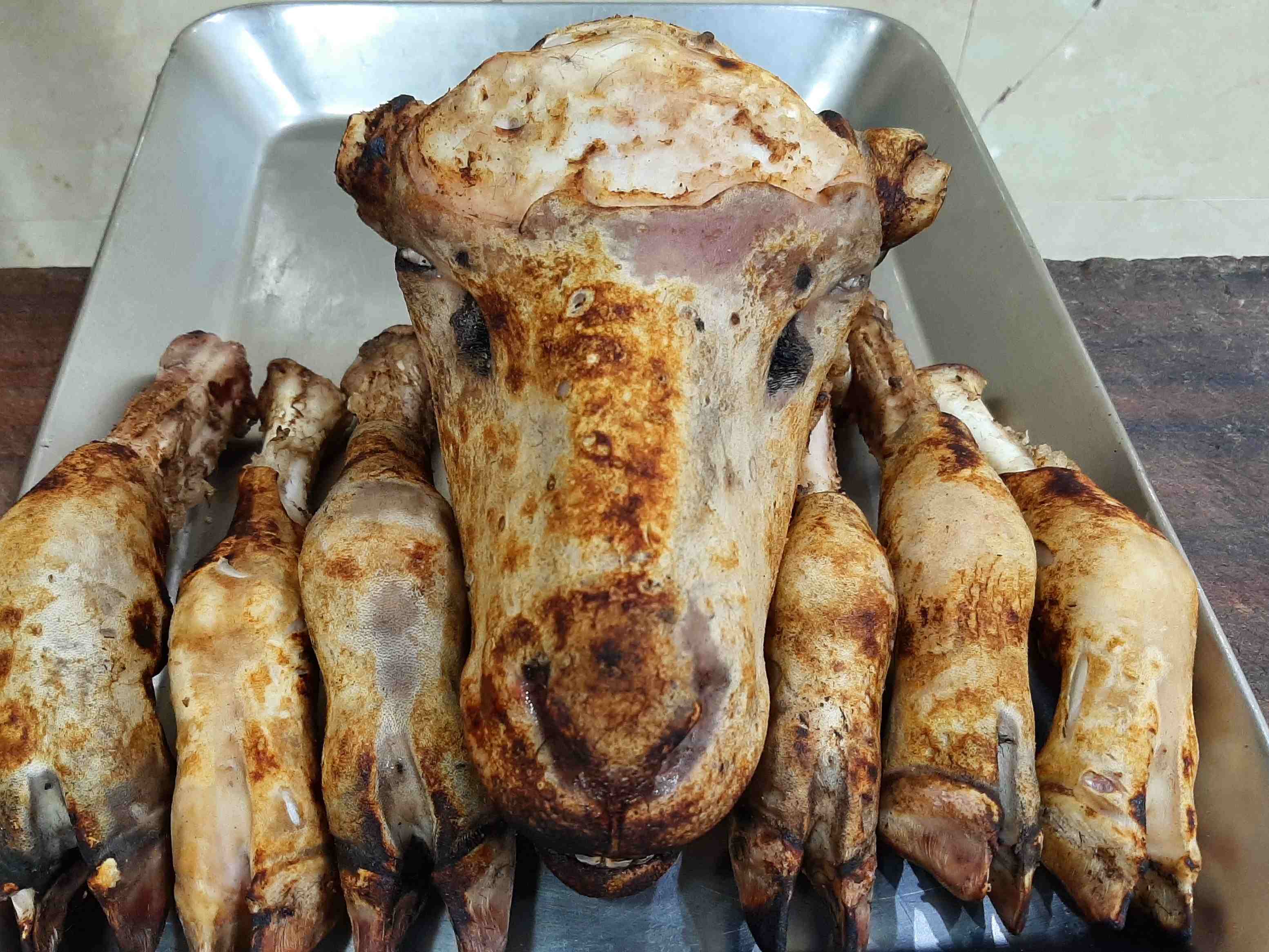 کله پاچه