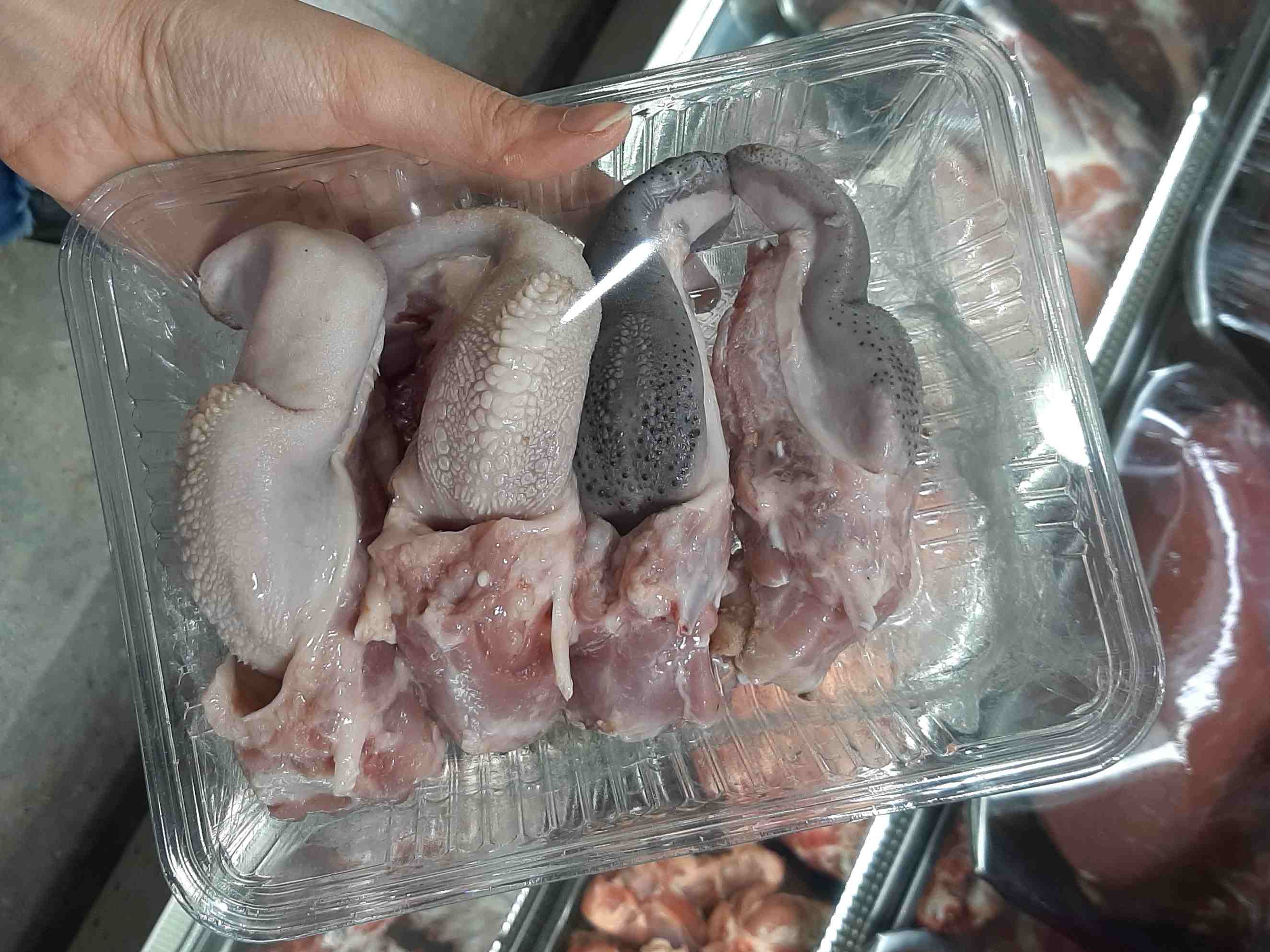 زبان گوسفندی