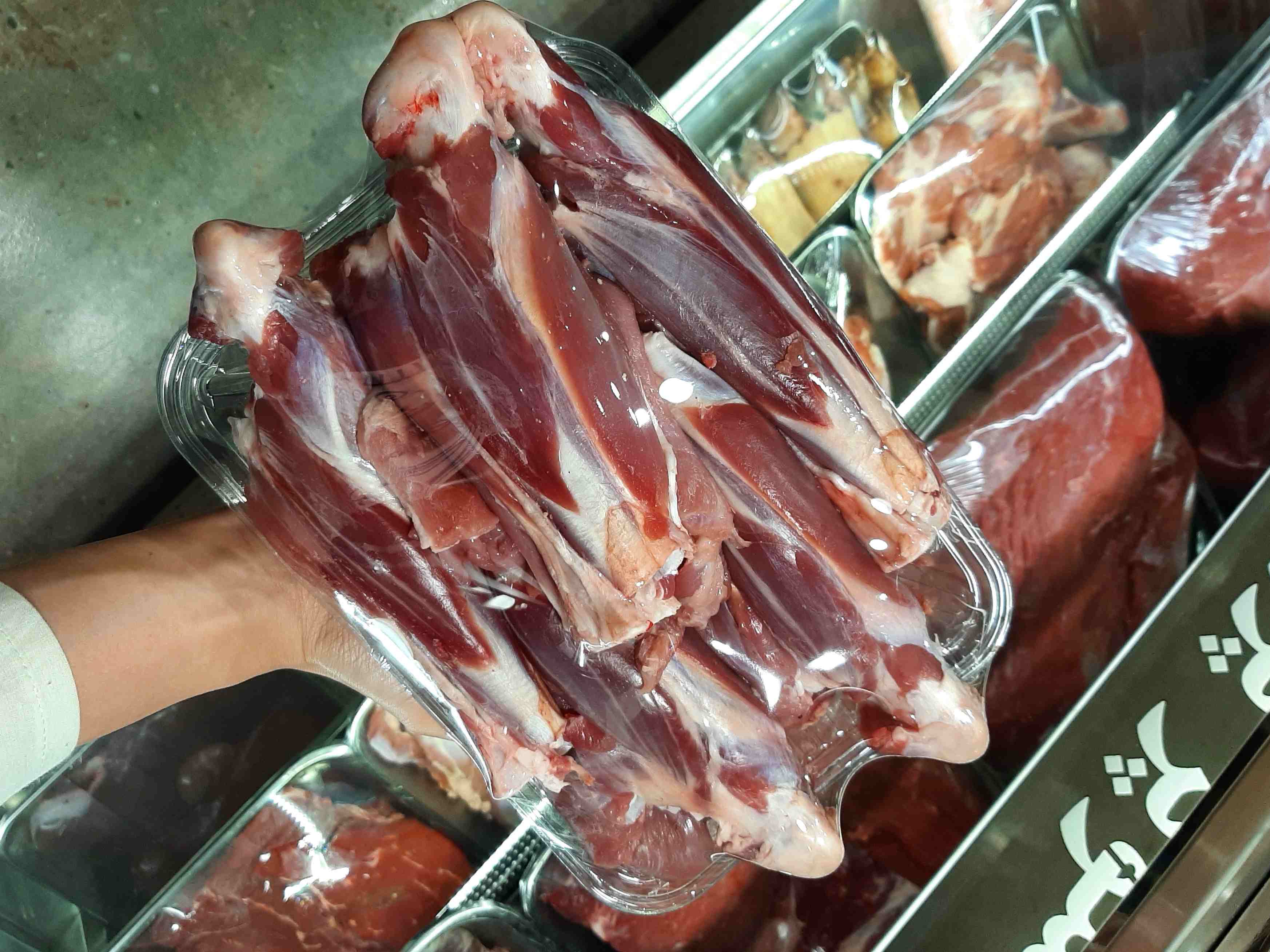 ماهیچه گوسفندی