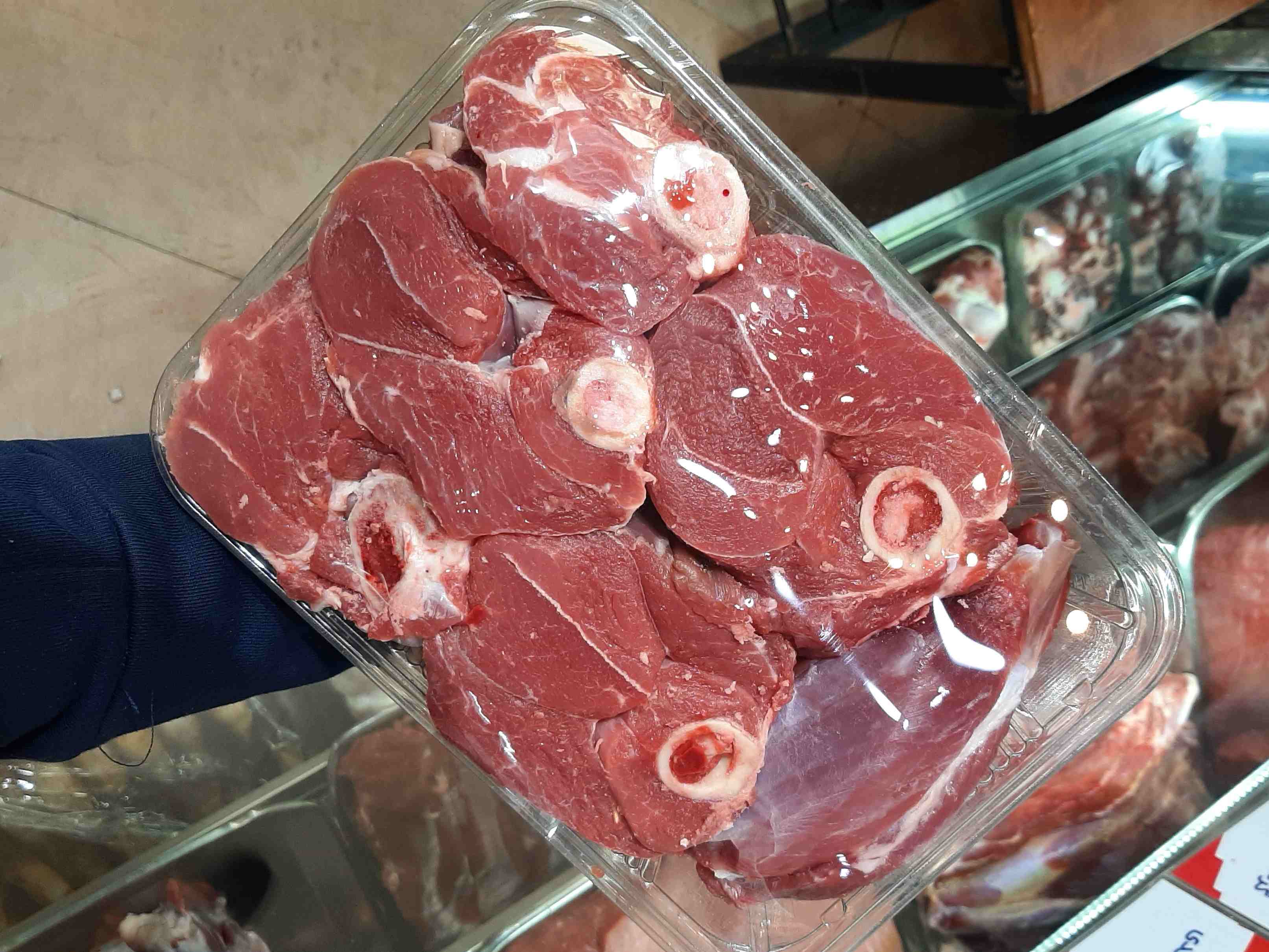 قلم وسط گوسفندی
