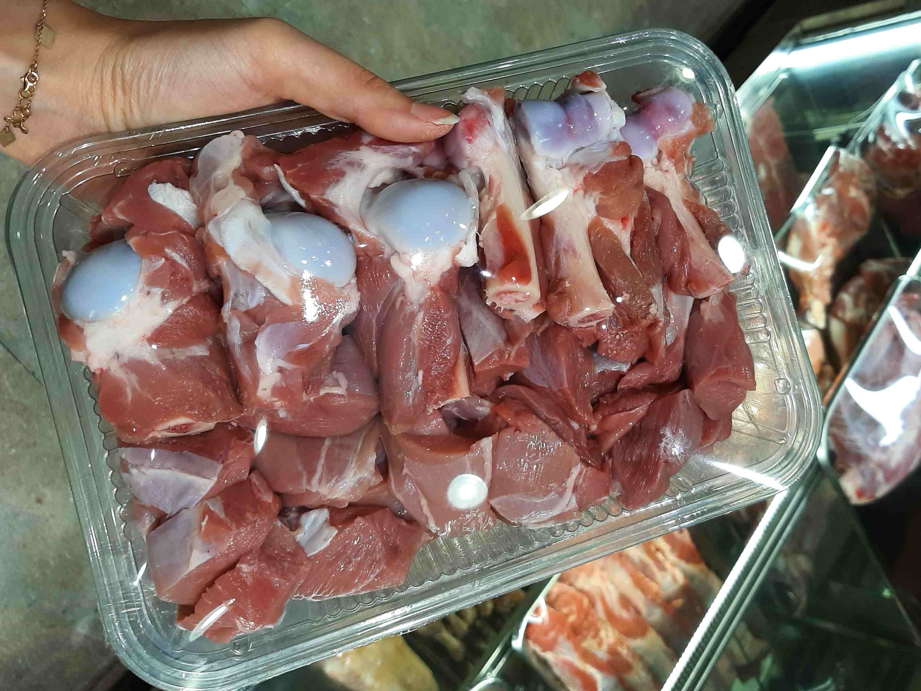 قلم وسط گوسفندی