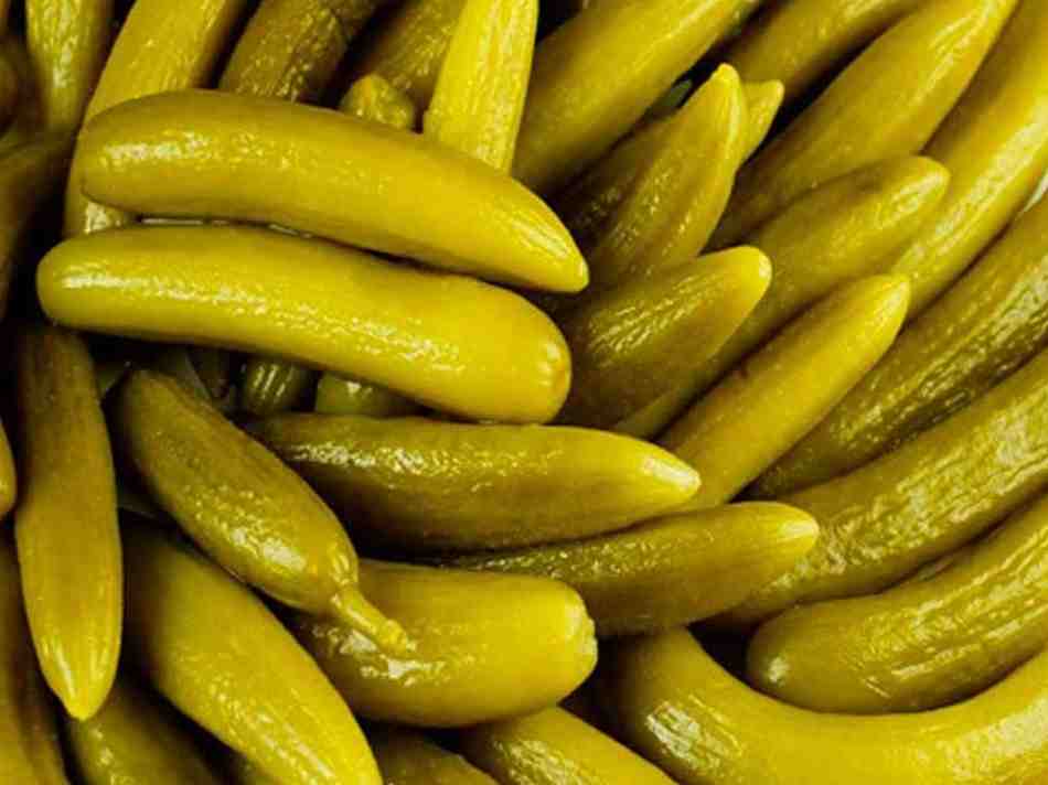 خیارشور آویشا