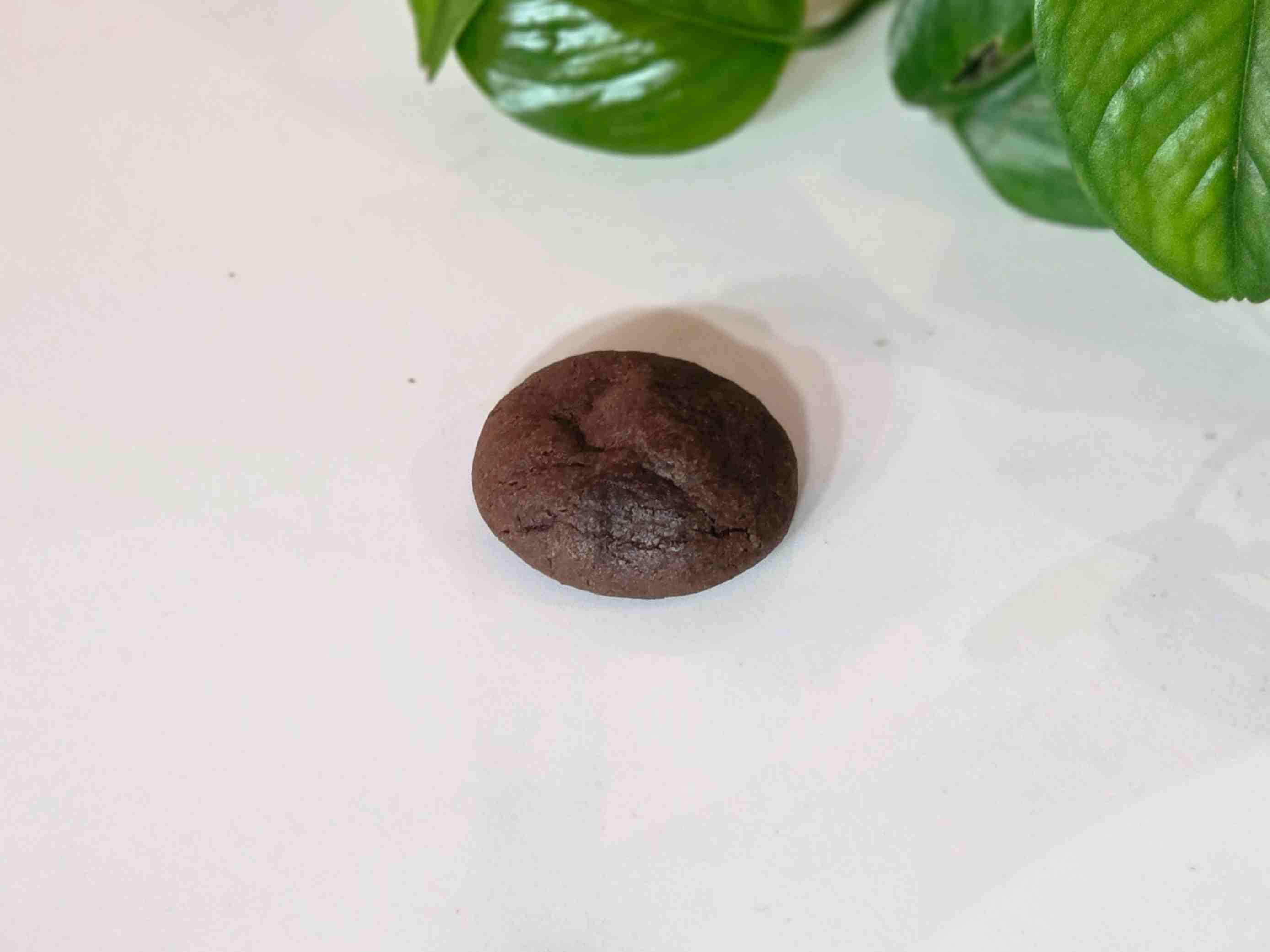 کوکی