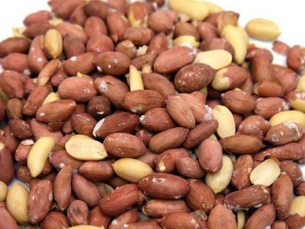 بادام زمینی
