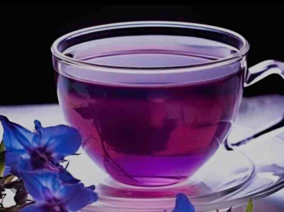 گل گاو زبان