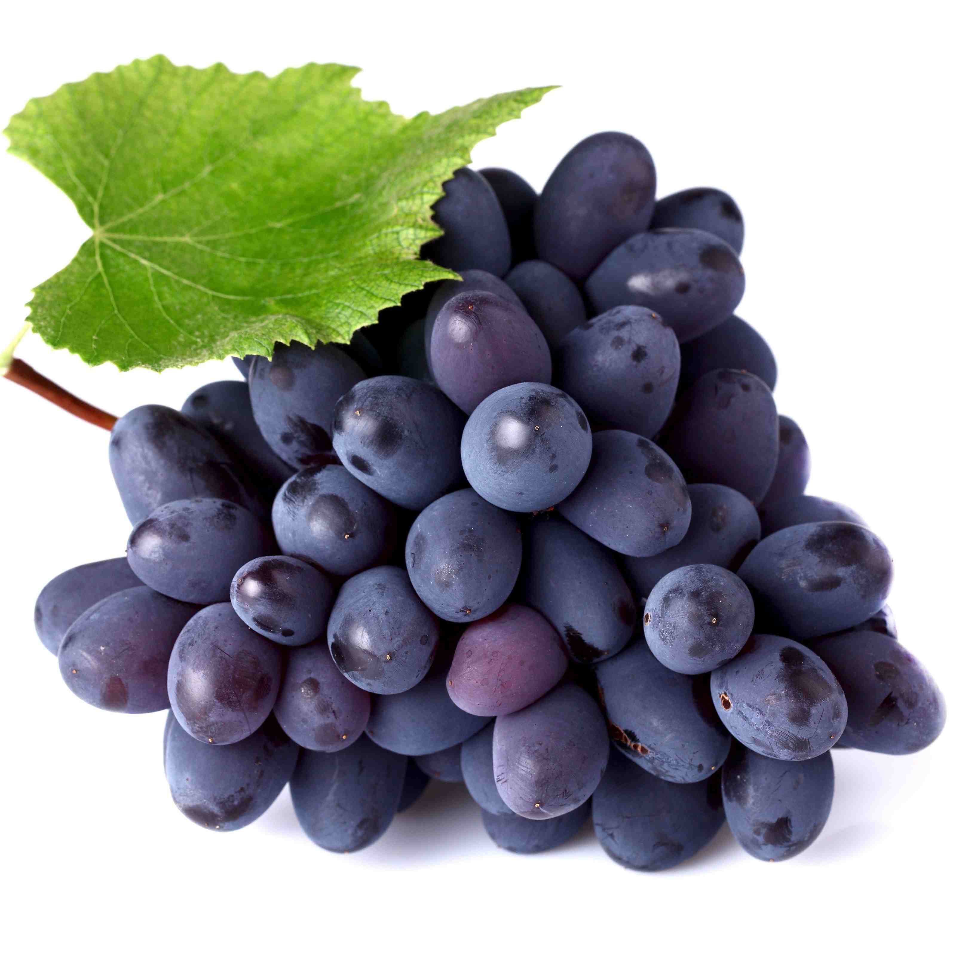 انگور