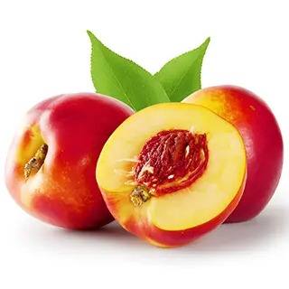 شلیل