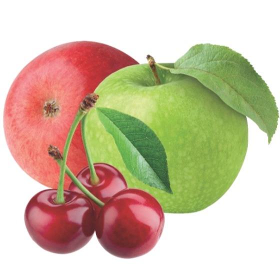 دو سیب آلبالو