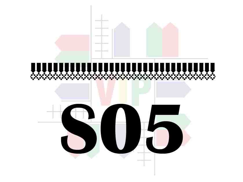 S05