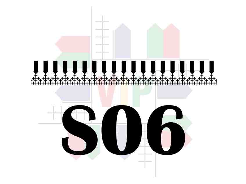S06