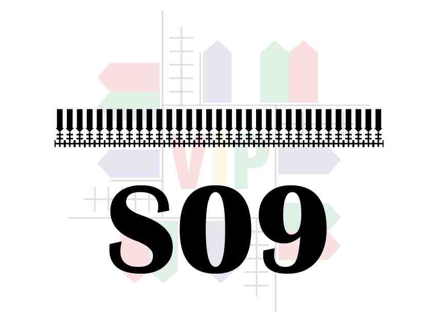 S09