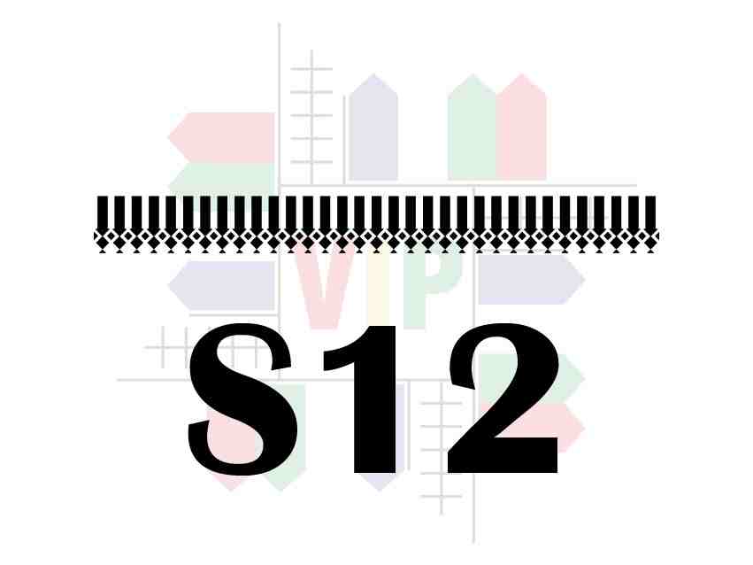 S12