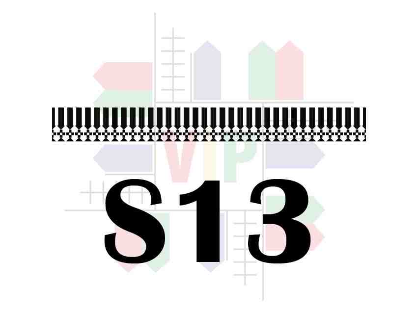 S13