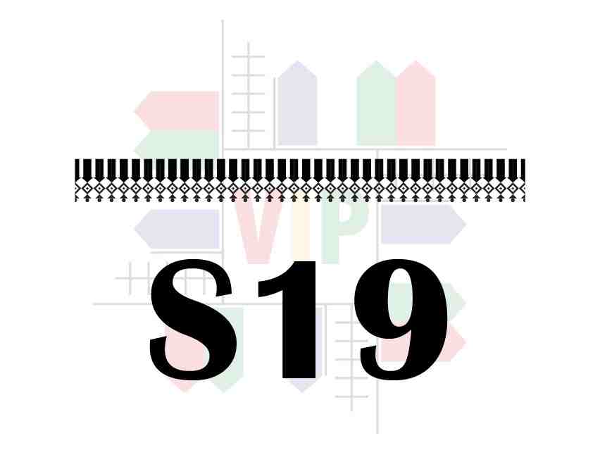 S19