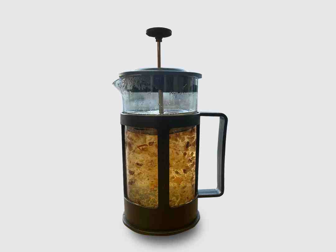 گل محمدی