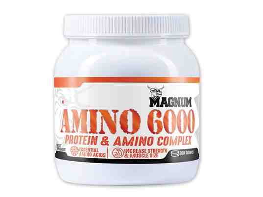 MAGNUM AMINO6000
