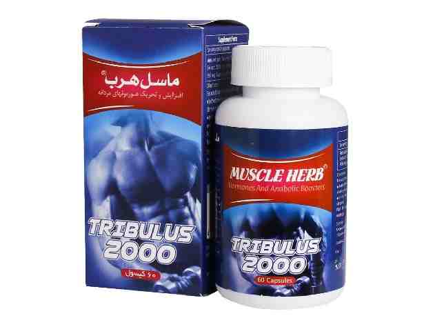 TRIBULUS 2000MG MUSCLE HERB