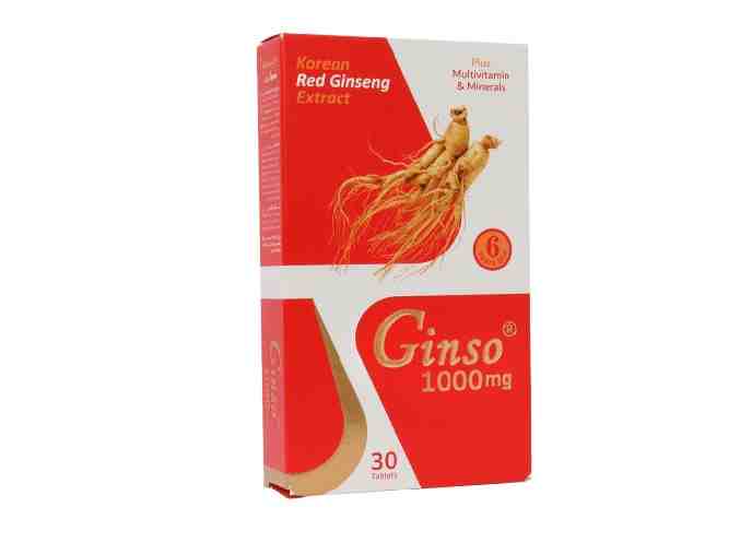 GINSO 1000MG