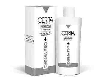 CERITA DERMA PSO