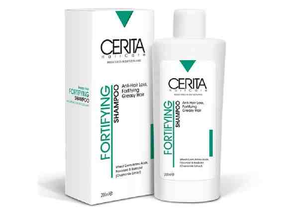 CERITA FORTIFYING