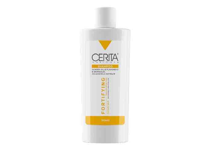 CERITA FORTIFYING